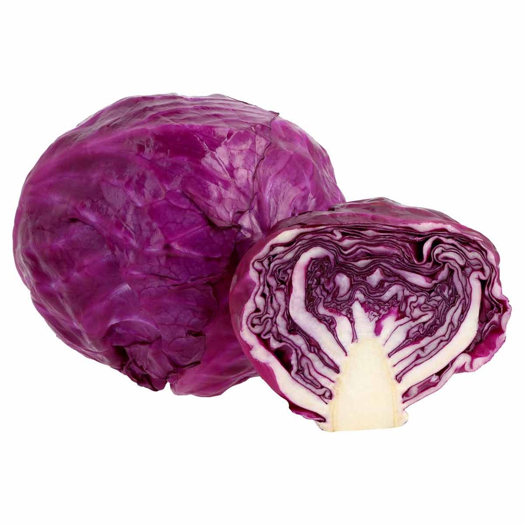 Col Morada Pza.