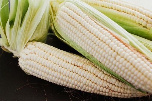 Elote Kg.